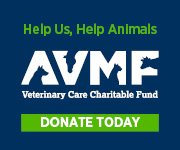 AVMF logo